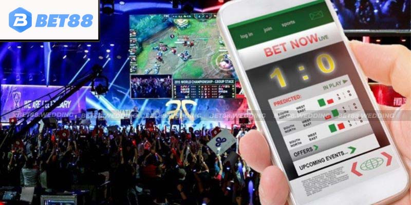 Esports khi tham gia cần thu thập thông tin và phân tích 